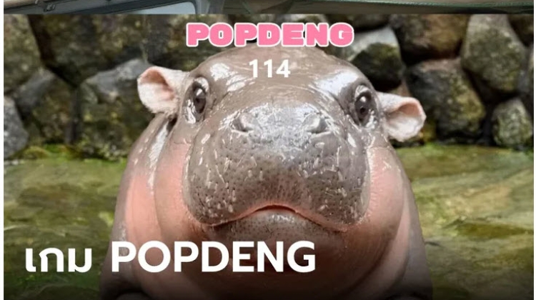 POPDENG เกมส์กดหน้าน้องหมูเด้งที่เล่นเพลิน